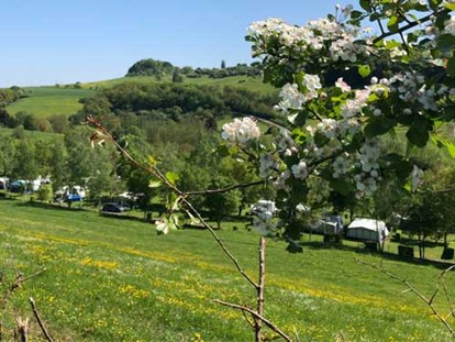 Luxury camping - Ermsdorf, Muellerthal, Luxemburg - Camping Neumuhle Luxemburg - Camping Neumuehle Muellerthal Estiva MobilHeim Glamping Neumuhle Luxemburg. 4 Pers. 2 Schlaffzimmer. Douche. Wc.