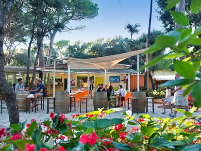 Luxuscamping - Preisniveau: exklusiv - Marina di Castagneto - Camping Etruria - Vacanceselect Airlodge 4 Personen 2 Zimmer Badezimmer von Vacanceselect auf Camping Etruria