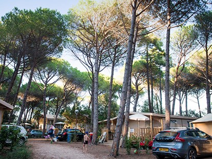 Luxuscamping - WC - Livorno - Camping Etruria - Vacanceselect Lodgezelt Deluxe 5/6 Personen 2 Zimmer Badezimmer von Vacanceselect auf Camping Etruria
