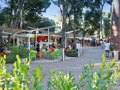 Luxuscamping - Gartenmöbel - Livorno - Camping Etruria - Vacanceselect Lodgezelt Deluxe 5/6 Personen 2 Zimmer Badezimmer von Vacanceselect auf Camping Etruria