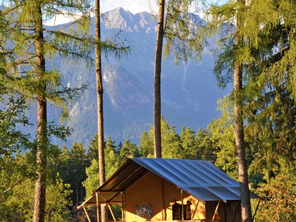 Luxuscamping - Dusche - Tirol - Safari-Lodge-Zelt "Lion" - Nature Resort Natterer See Safari-Lodge-Zelt "Lion" am Nature Resort Natterer See