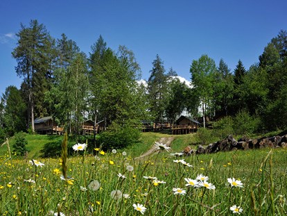 Luxuscamping - Art der Unterkunft: Safari-Zelt - Region Innsbruck - Safari-Lodge-Zelte - Nature Resort Natterer See Safari-Lodge-Zelt "Elephant" am Nature Resort Natterer See