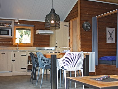 Luxuscamping - Gartenmöbel - Niederlande - Küche / Wohnraum - Camping De Kleine Wolf Zwaluwlodge bei Camping de Kleine Wolf