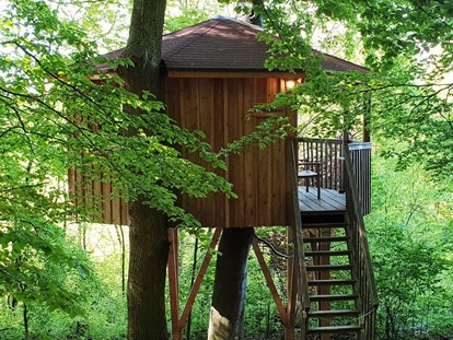 Luxuscamping - Terrasse - Uslar - Baumhaus Rundhaus, hier wächst eine echte Buche durchs Baumhaus. - Baumhaushotel Solling Baumhaushotel Solling