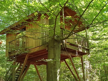 Luxury camping - Art der Unterkunft: Baumhaus - Baumhaus Refugium für zwei Personen. - Baumhaushotel Solling Baumhaushotel Solling