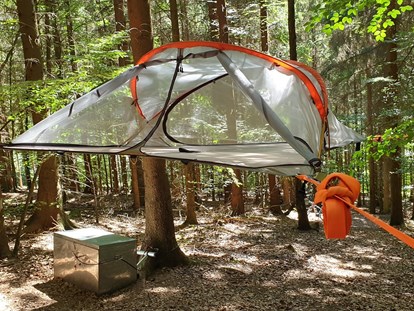 Luxuscamping - Art der Unterkunft: spezielle Unterkunft - Uslar - Abenteuerlich übernachten im Baumzelt. - Baumhaushotel Solling Baumhaushotel Solling