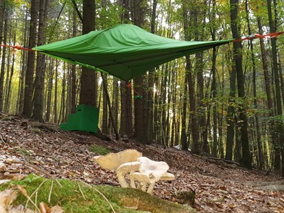 Luxuscamping - Unterkunft alleinstehend - Uslar - Abenteuerlich übernachten im Baumzelt. - Baumhaushotel Solling Baumhaushotel Solling