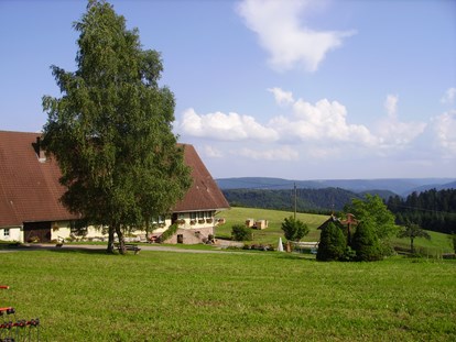 Luxuscamping - Art der Unterkunft: spezielle Unterkunft - Aussicht - Podhaus am Äckerhof -  Mitten im Schwarzwald Podhaus am Äckerhof -  Mitten im Schwarzwald