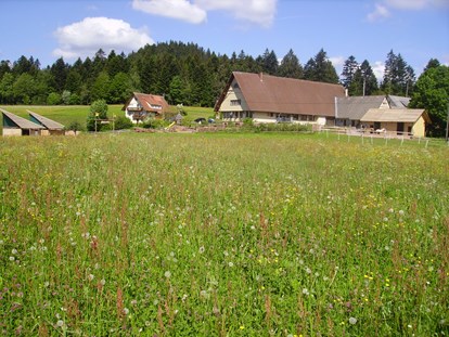 Luxuscamping - Dusche - Baden-Württemberg - Podhaus am Äckerhof -  Mitten im Schwarzwald Podhaus am Äckerhof -  Mitten im Schwarzwald