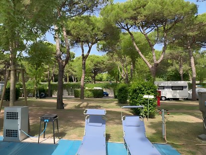 Luxuscamping - Sonnenliegen - Venedig - Entspannen - camping-in-venedig.de -WMC BUSCHMANN wohnen-mieten-campen at Union Lido Deluxe Caravan mit Einzelbett / Dusche