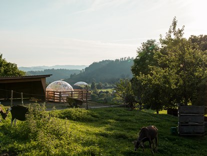 Luxuscamping - Terrasse - Schweiz - Lebenshof im Emmental Adventurly Bubble-Suite auf Lebenshof im Emmental