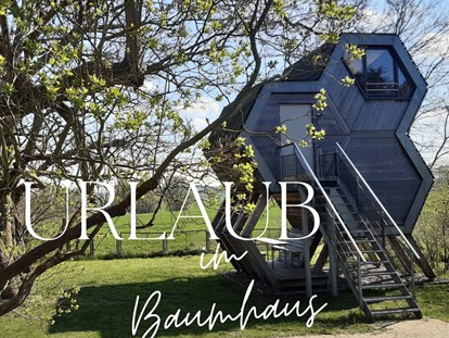 Luxury camping - Art der Unterkunft: Baumhaus - Bild - Grüne Wiek Wabenhausherberge Grüne Wiek Wabenhausherberge