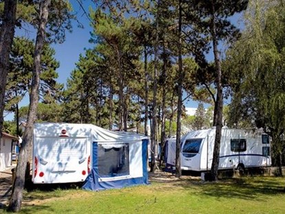 Luxuscamping - Art der Unterkunft: Campingfahrzeug - Venetien - Caravan Pinienwald am Camping Ca' Pasquali Village - Camping Ca' Pasquali Village Caravan Pinienwald auf Camping Ca' Pasquali Village