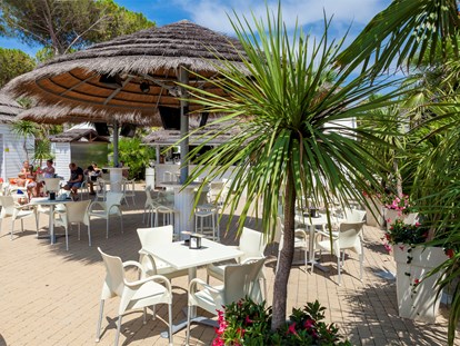 Luxuscamping - Venetien - Poolbar - Camping Vela Blu Mobilheim Torcello Platinum auf Camping Vela Blu