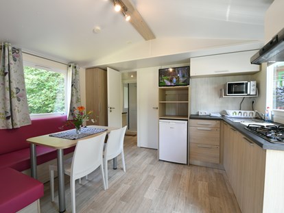 Luxuscamping - Dusche - Pleinfeld - Essbereich mit Küche im Mobilheim - Waldcamping Brombach Mobilheim am Waldcamping Brombach