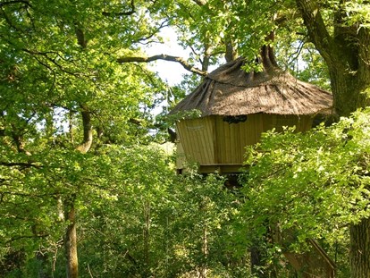 Luxuscamping - Gartenmöbel - Loiret - Baumhaus von außen - Domaine des Alicourts Baumhaus für 2 Personen auf Domaine des Alicourts