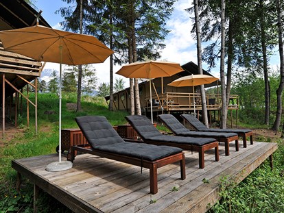 Luxuscamping - Preisniveau: exklusiv - Safari-Lodge-Zelt "Zebra" - Nature Resort Natterer See Safari-Lodge-Zelt "Zebra" am Nature Resort Natterer See