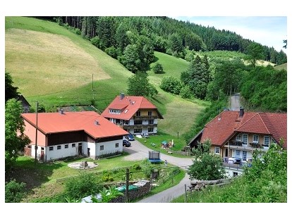 Luxuscamping - Terrasse - Wolfach - Unser Vollmershof - Vollmershof Urlaub im Holz-Igloo
