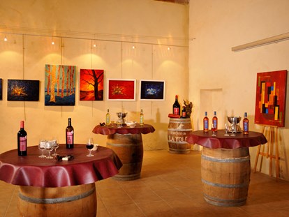 Luxuscamping - Kochmöglichkeit - Hérault - Domaine La Yole Wine Resort Mobilheim Chardonnay auf Domaine La Yole Wine Resort