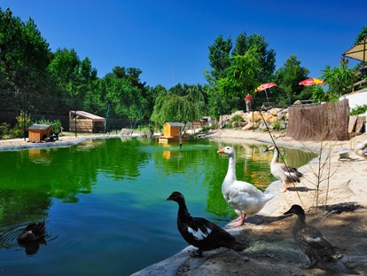 Luxuscamping - Sonnenliegen - Vendres - Domaine La Yole Wine Resort Lodgezelt Euphoria auf Domaine La Yole Wine Resort
