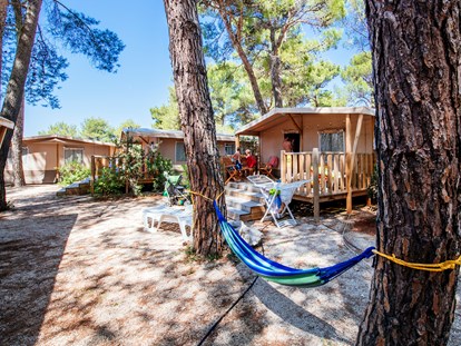 Luxuscamping - Dusche - Zadar - Šibenik - Safari Lodge - Zaton Holiday Resort Glamping Zelte auf Zaton Holiday Resort