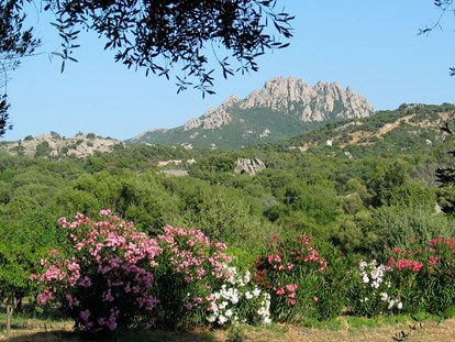 Luxuscamping - Sonnenliegen - Costa Smeralda - auf dem privaten Grundstück - Königszelt in Sardinien Königszelt in Sardinien