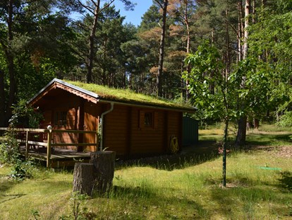 Luxuscamping - Art der Unterkunft: Hütte/POD - Brandenburg Nord - Außenbereich - Naturcampingpark Rehberge Ferienhaus Rosalie am Wurlsee - Naturcampingpark Rehberge