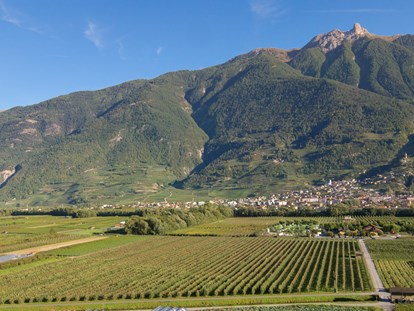 Luxuscamping - Preisniveau: gehoben - Schweiz - Eingebettet in Obstplantagen und Natur - Camping de la Sarvaz Klassische Mietchalets am Camping de la Sarvaz