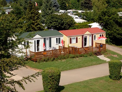 Luxuscamping - Kühlschrank - Baden-Württemberg - Moderne und ansprechend eingerichtete Mobilhomes
 - Camping Schüttehof Mobilheime auf Camping Schüttehof