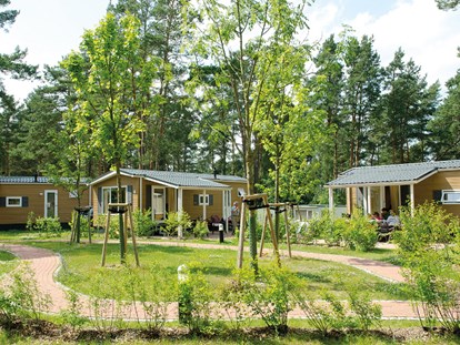 Luxuscamping - Preisniveau: moderat - Seenplatte - Camping- und Ferienpark Havelberge Mobilheim am Camping- und Ferienpark Havelberge