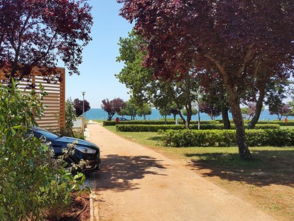 Luxuscamping - Unterkunft alleinstehend - Novigrad - CampingIN Park Umag - Meinmobilheim Park Riviera EVO auf dem CampingIN Park Umag