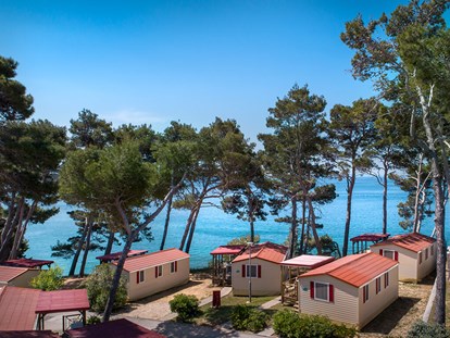 Luxuscamping - Preisniveau: exklusiv - Banjol - Padova Premium Camping Resort - Meinmobilheim Hilltop Superior auf dem Padova Premium Camping Resort