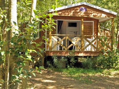 Luxuscamping - Art der Unterkunft: Mobilheim - Gard - Camping Les Cascades Mobilheim Texas auf Camping Les Cascades