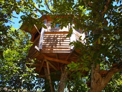 Luxuscamping - Preisniveau: moderat - Algarve - Bildquelle: http://walnut-tree-farm.com/treehouse/ - The Walnut Tree Farm The Walnut Tree Farm Treehouse
